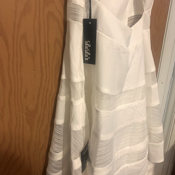 Ivory Skater Dress with Mesh Panels NWT - Picture 7 of 7